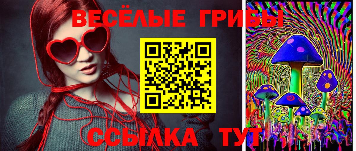 дарнет шоп  Псилоцибиновые грибы мицелий  Вход с VPN  Ртищево  Галлюциногенные грибы Psilocybe 